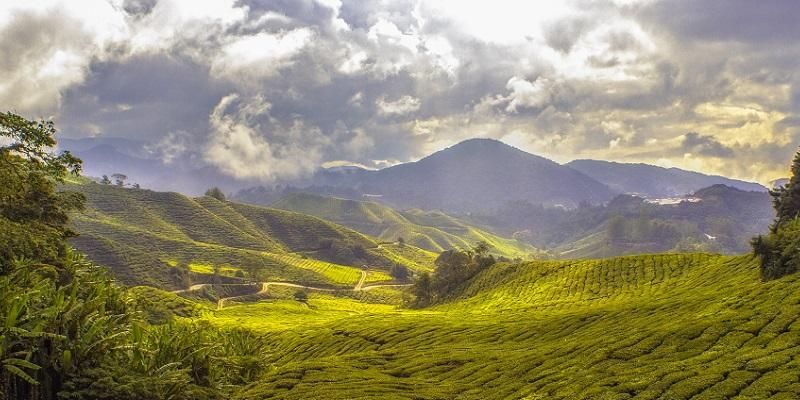 Green hills and trees with a path running through them with mountains and clouds in the background