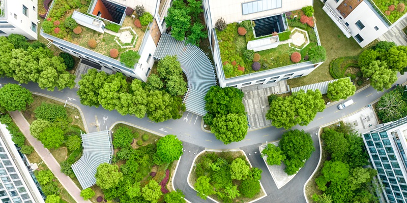 An aerial view of a residential area with houses and lots of green space, gardens and trees.