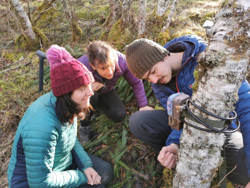 students and project volunteers checking camera traps in the release area of south cumbria 2023 peter howarth julia sier heather marples