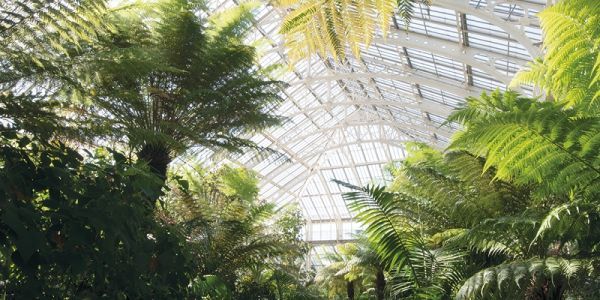 Kew Gardens
