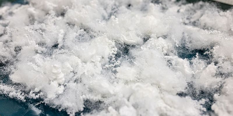 Cotton wool fibres.
