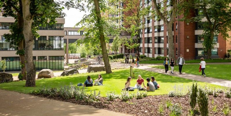 An area of grass and trees on campus on a sunny day. Two groups of students are sitting on the lawn chatting while others walk past.