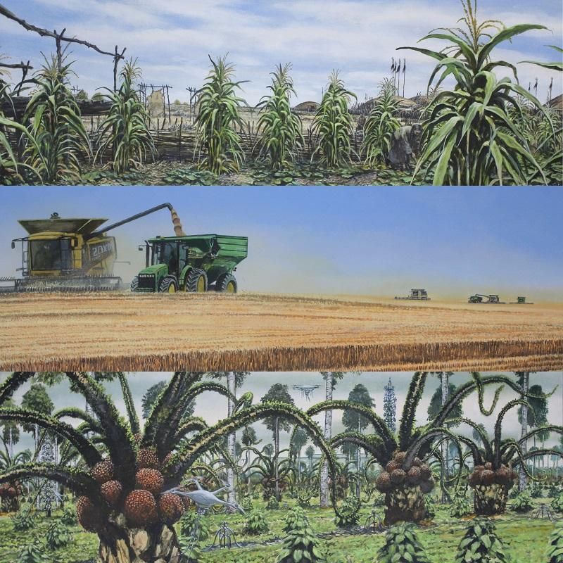 The top painting is based on pre-colonisation indigenous cities and communities with buildings and a diverse maize-based agriculture. The second is the same area today, with a grain monoculture and large harvesters. The bottom image, however, shows agricultural adaptation to a hot and humid subtropical climate, with imagined subtropical agroforestry based on oil palms and arid zone succulents. The crops are tended by AI drones, with a reduced human presence. (Lyon et al., 2021), CC BY-ND